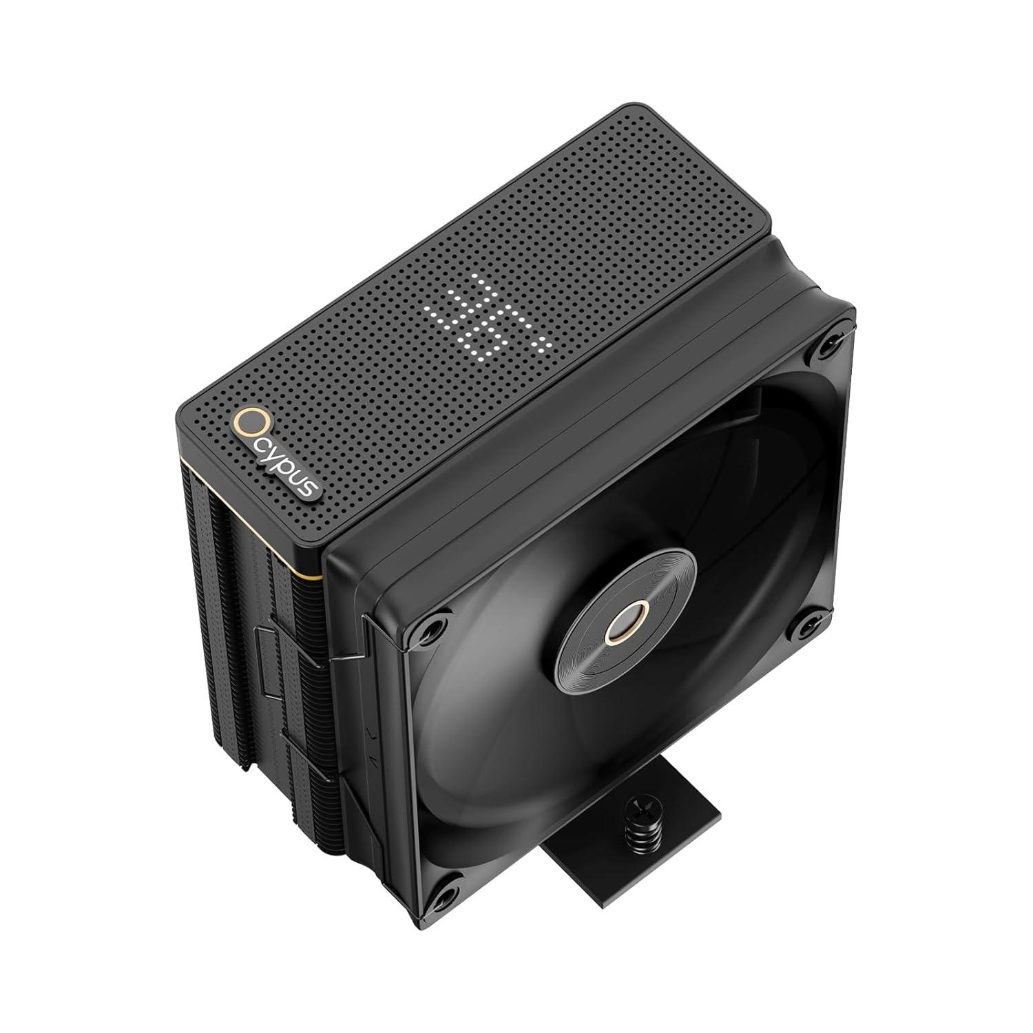 Ocypus Iota A40